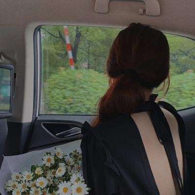 鹡鸰女神第一季 海报